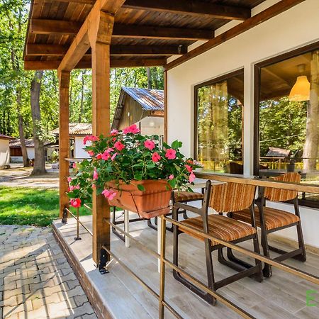 Elmona Villas Камчія Номер фото